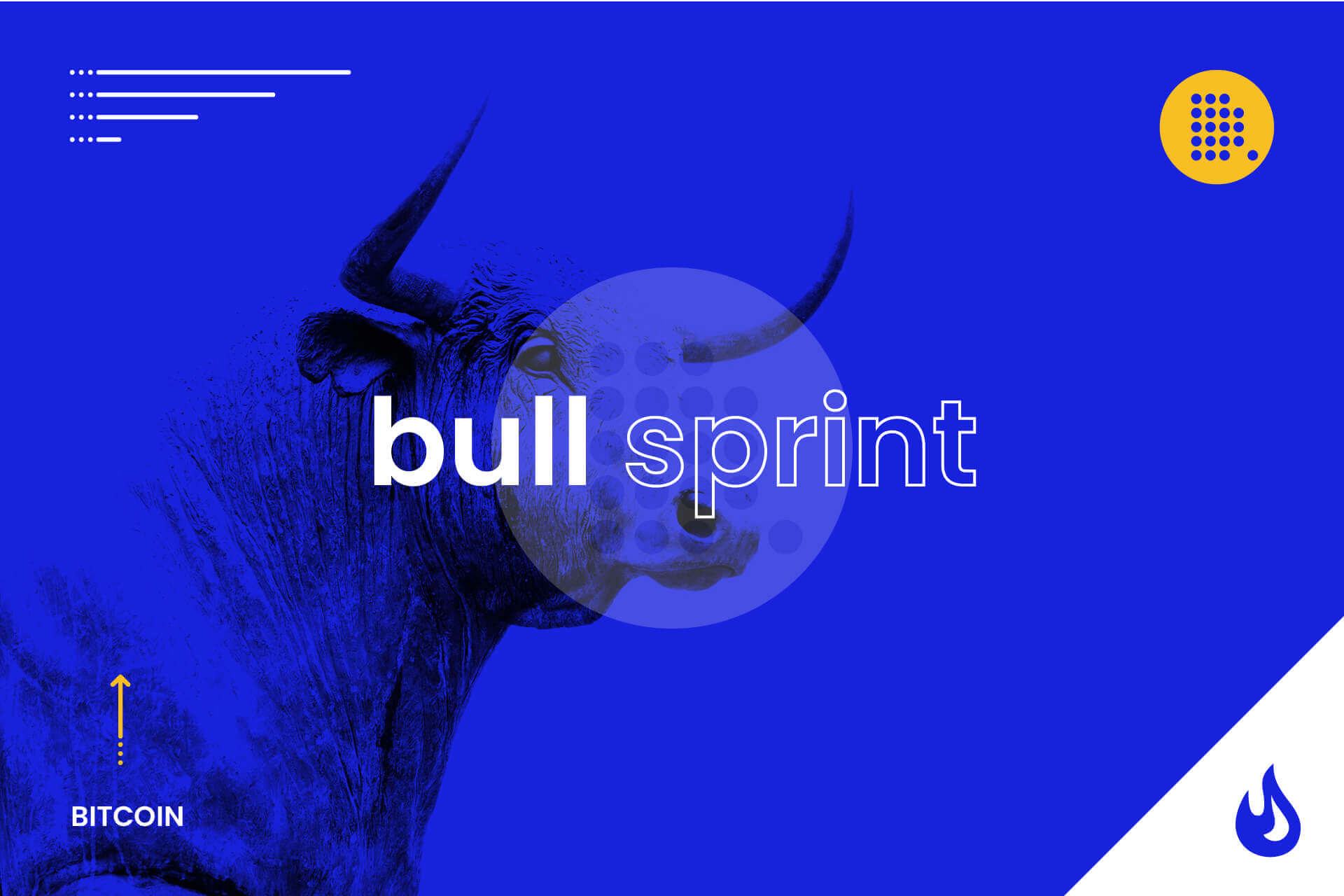 bitcoin bull