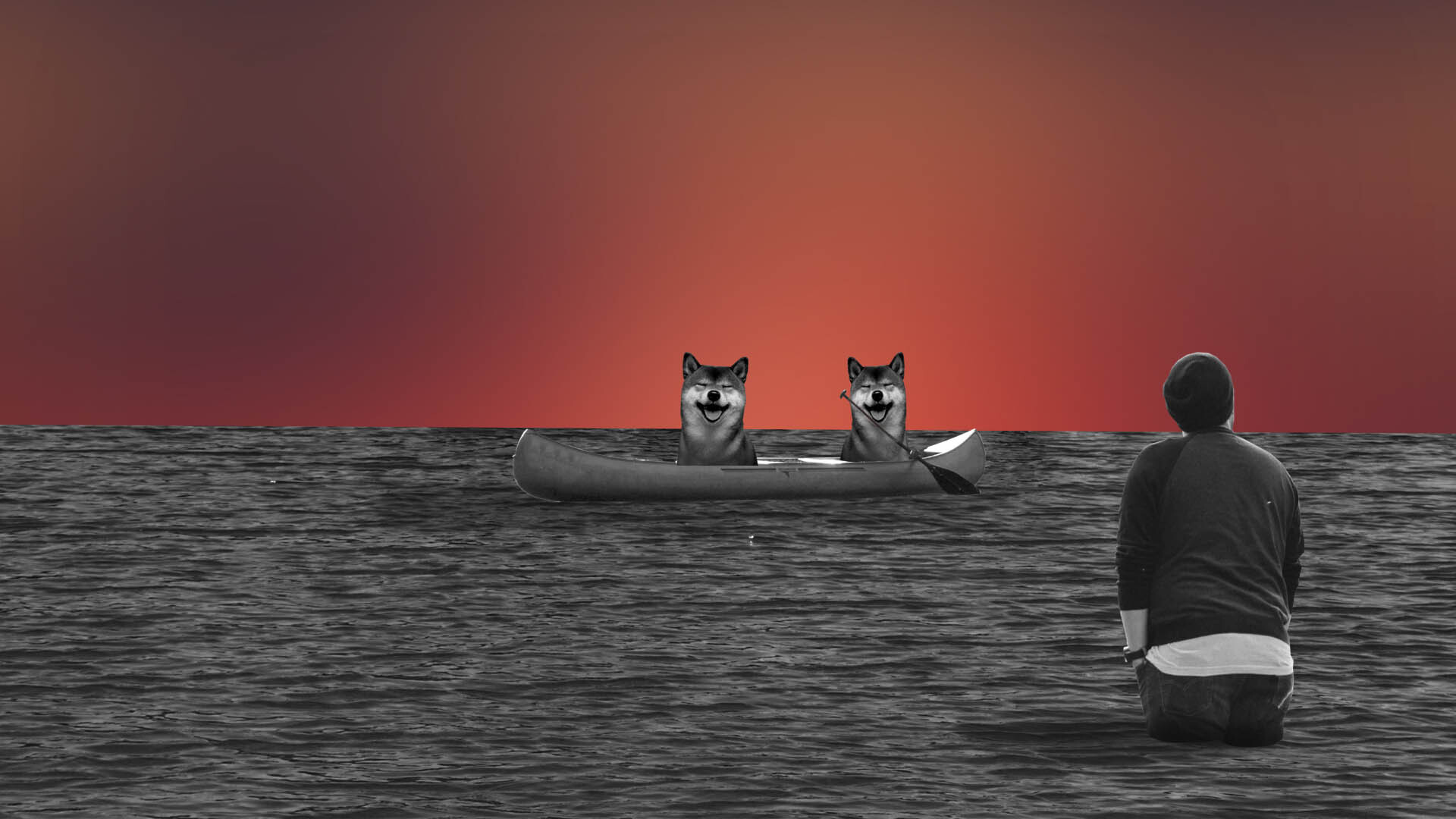 Shiba Inu skyrockets