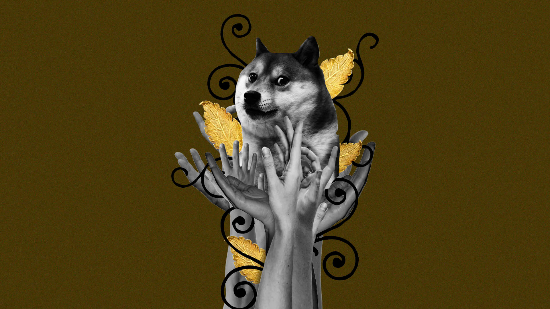 Dogecoin Elon Musk Mark Cuban