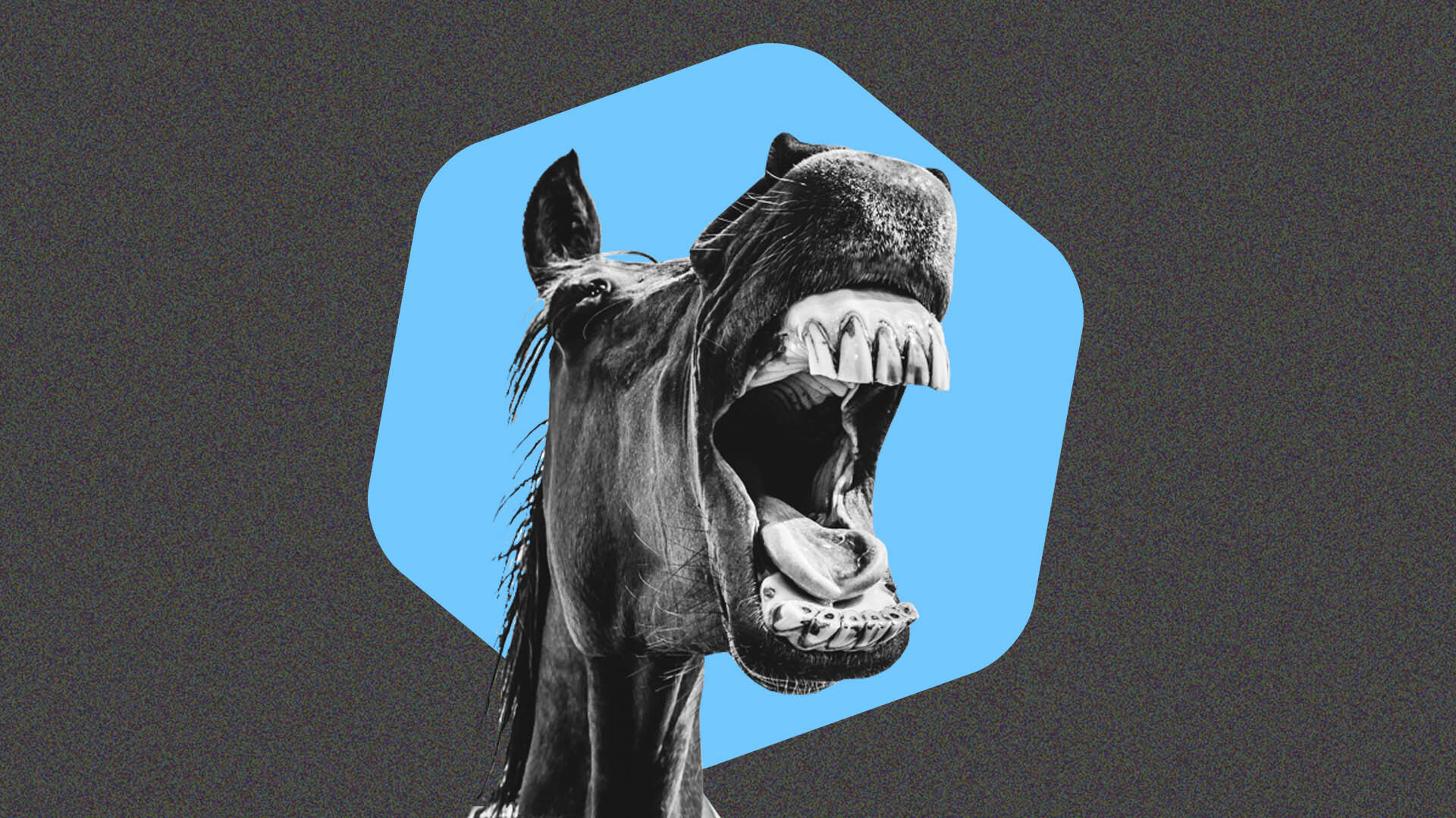 Telcoin Dark Horse