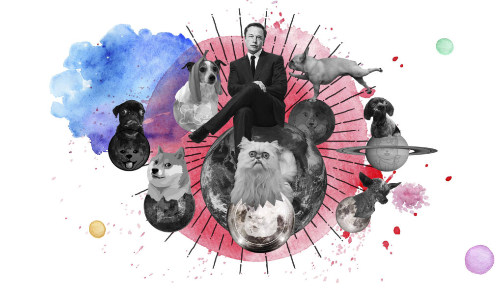 copydogs dogecoin inukeanu