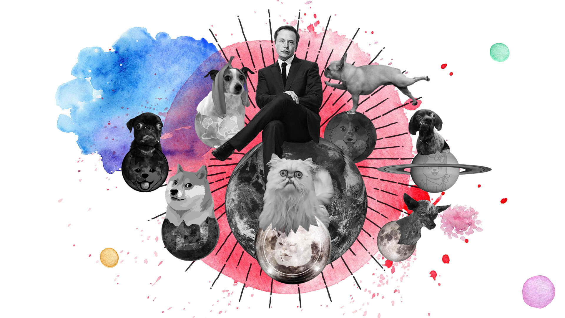 copydogs dogecoin inukeanu