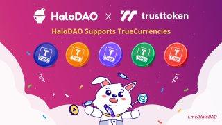 halo_1629208008T4gFcn07dh-1