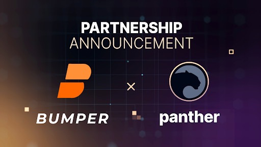 Bumper_and_Panther_1633496370U1fwDJtcwq-1