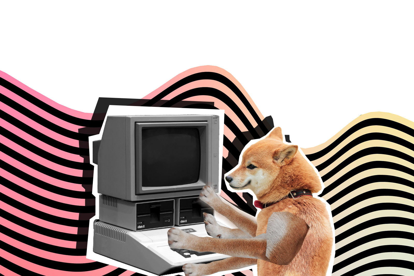 shiba inu shib shibarium public testnet
