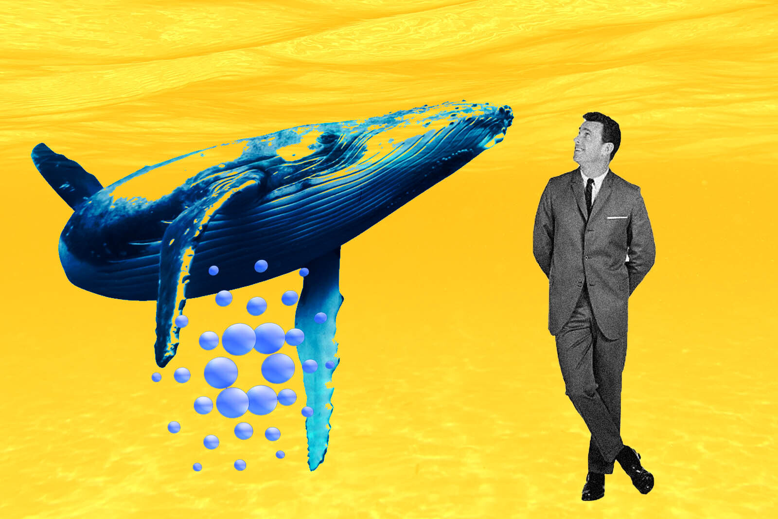 cardano whales supply