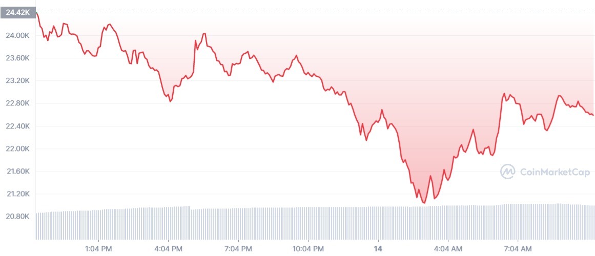 BTC_1D_graph_coinmarketcap (14)