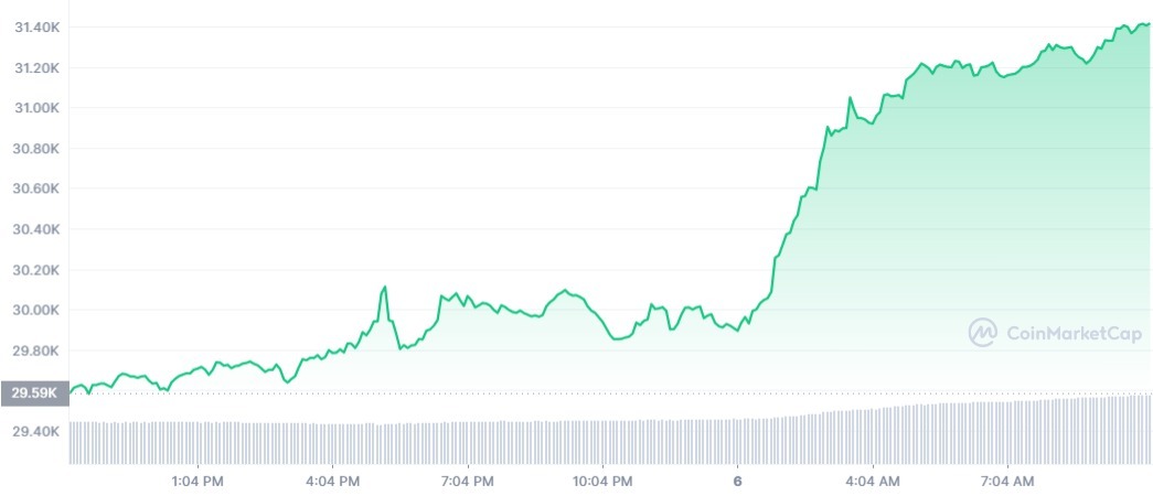 BTC_1D_graph_coinmarketcap (9)