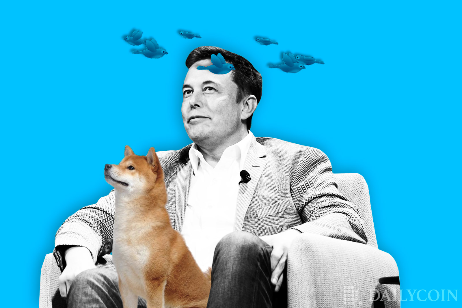 Elon Musk Orders Twitter Staff To Halt Crypto Wallet As The Big Layoff Nears