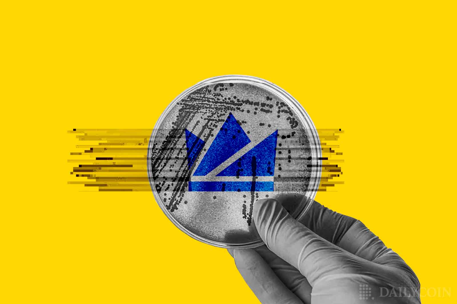 India's WazirX Comes Under Government's Microscope for Alleged $350m Fraud