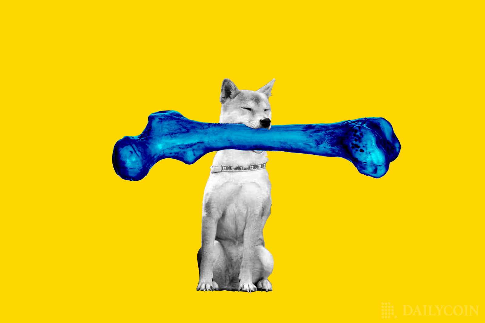 Shiba Inu’s BONE Rises by 135% As SHIB Army Votes For Token Listing