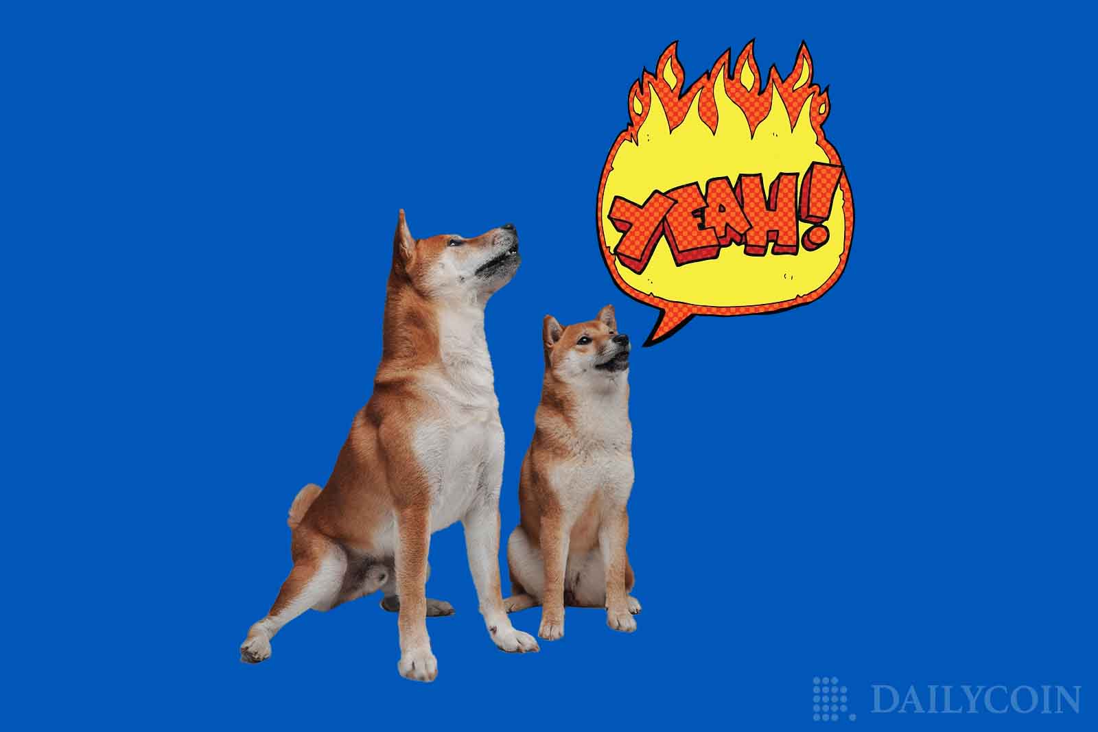 Shiba Inu SHIB Presents Fireside Chats on Discord as SHIB Burn Rate Intensifies