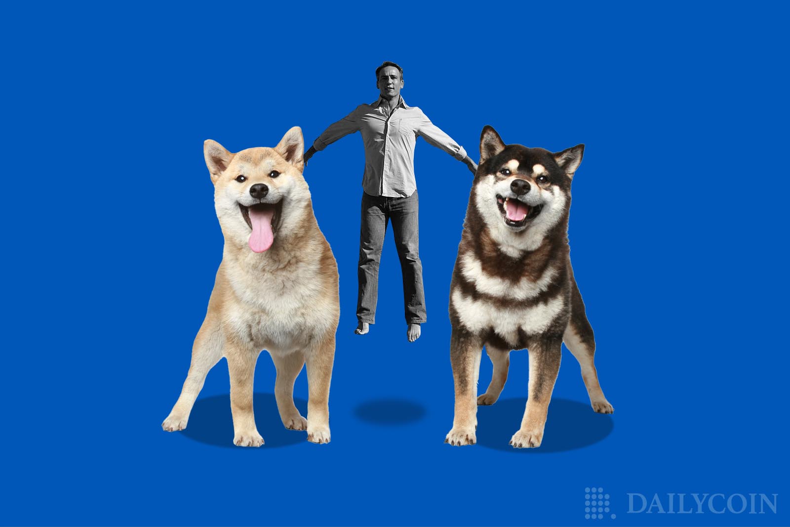 Shiba Inu's SHIB Main Developer Explains Tie Between Shiba Eternity and Shibarium