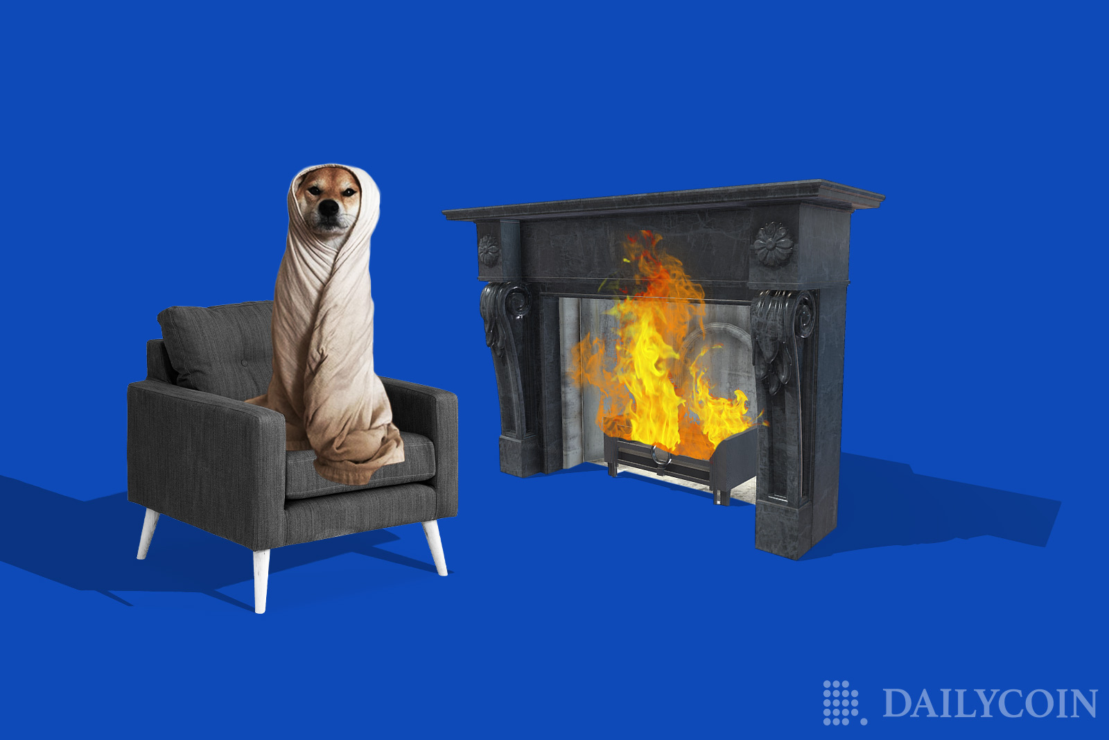 shib burn