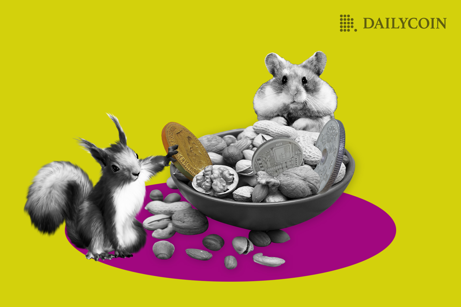 Crypto-Exchanges-Are-Scrambling_Proof-of-Reserves_nuts_crazy_rodents_stocks_collection_revealing_coins_web