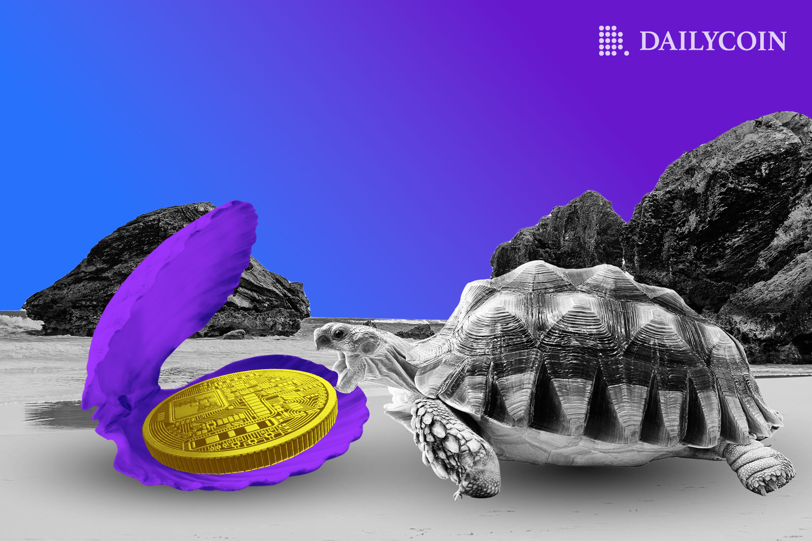 bermuda stablecoin