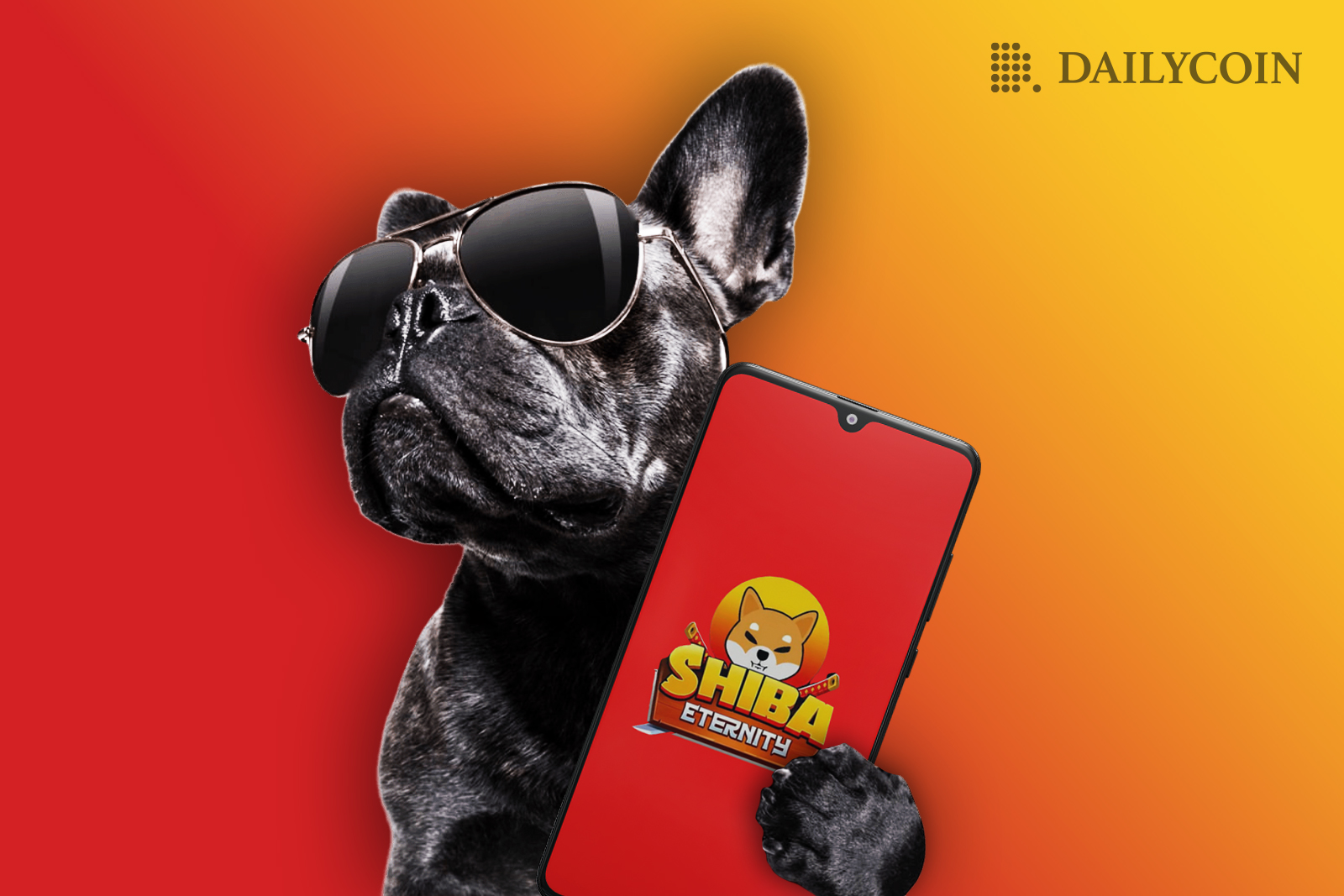 Pug holding a phone with Shiba logo displayed on screen wearing sunglasses