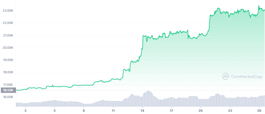 BTC_YTD_graph_coinmarketcap (1)