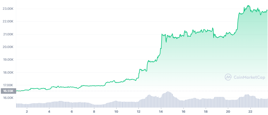 BTC_YTD_graph_coinmarketcap