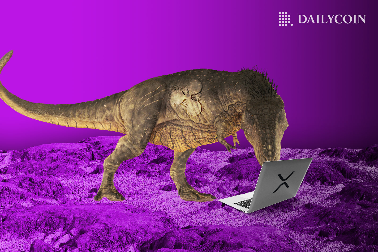 Dinosaur stands on the purple grass and stares at XRP laptop.