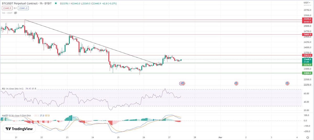 1-Hour Price Chart for Bitcoin.
