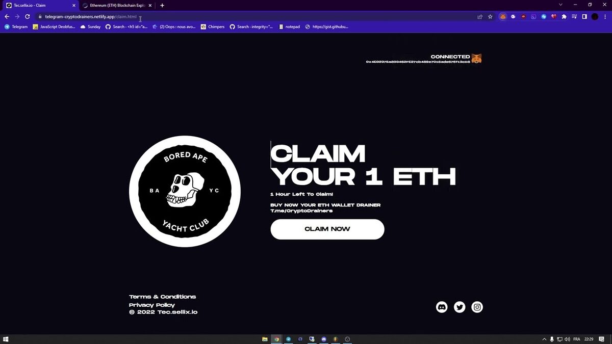 Example of wallet drainer scam site.