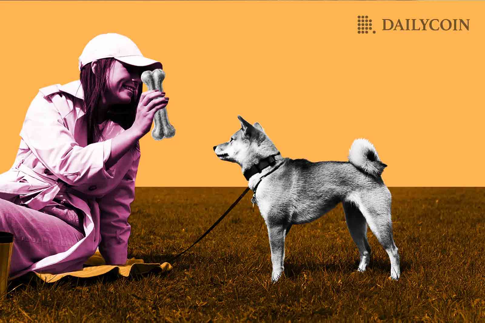 A girl with a Shiba Inu dog on a leash, throwing a BONE on the field for the Shiba Inu dog to fetch.