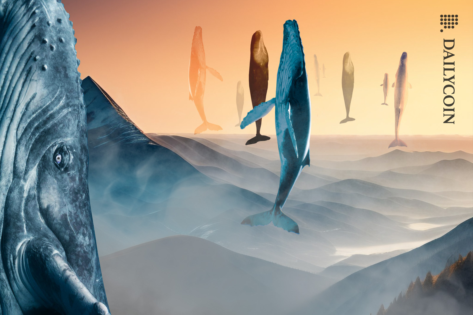 A bunch of whales jumping out of the mist covered valley at the same time.
