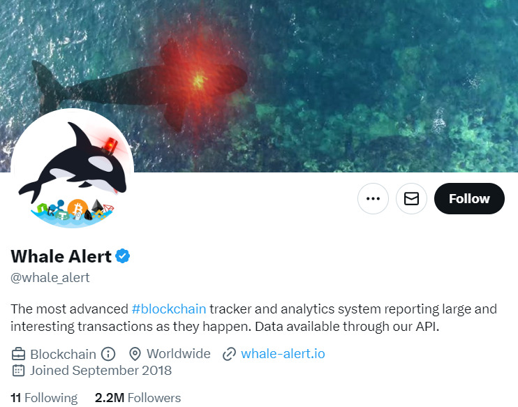 Whale Alert Twitter account.