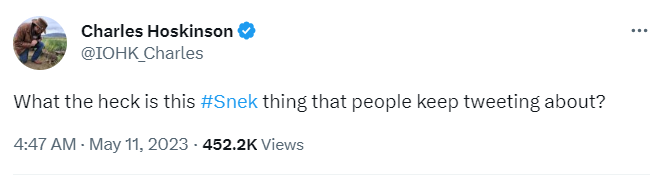 Charles Hoskinson ASks Twitter about SNEK.