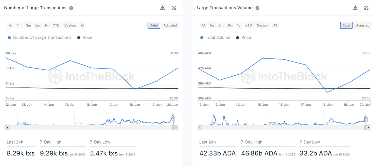 Whales Transactions on Cardano.