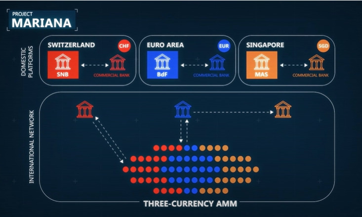Graphic explaining how BIS Innovation Hub's Project Mariana would work.