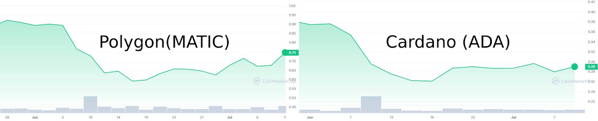 Polygon and Cardano price charts over June.