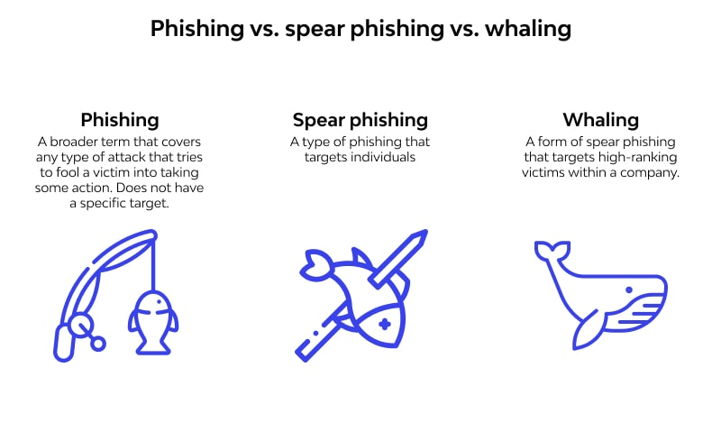 A graphic illustrating the difference between phishing, spear phishing and whaling in cybersecurity.