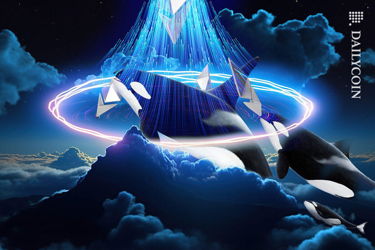 Whales entering a transfer portal giving their Ethereums.