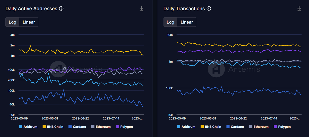 EVM networks vs Cardano