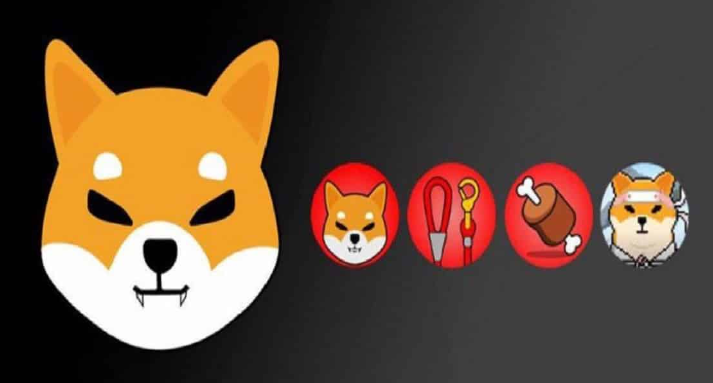 Shiba Inu token ecosystem.