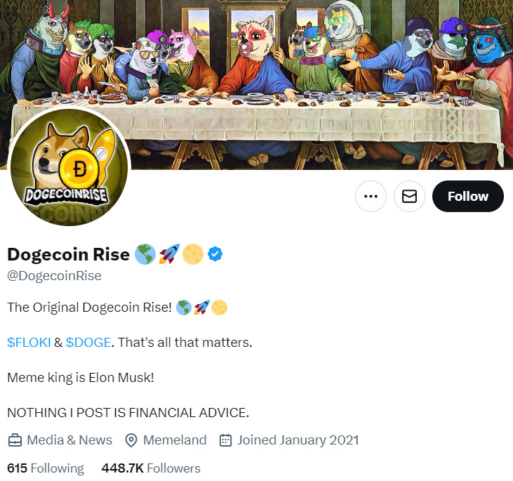 Dogecoin influencer Dogecoin Rise X proifle.