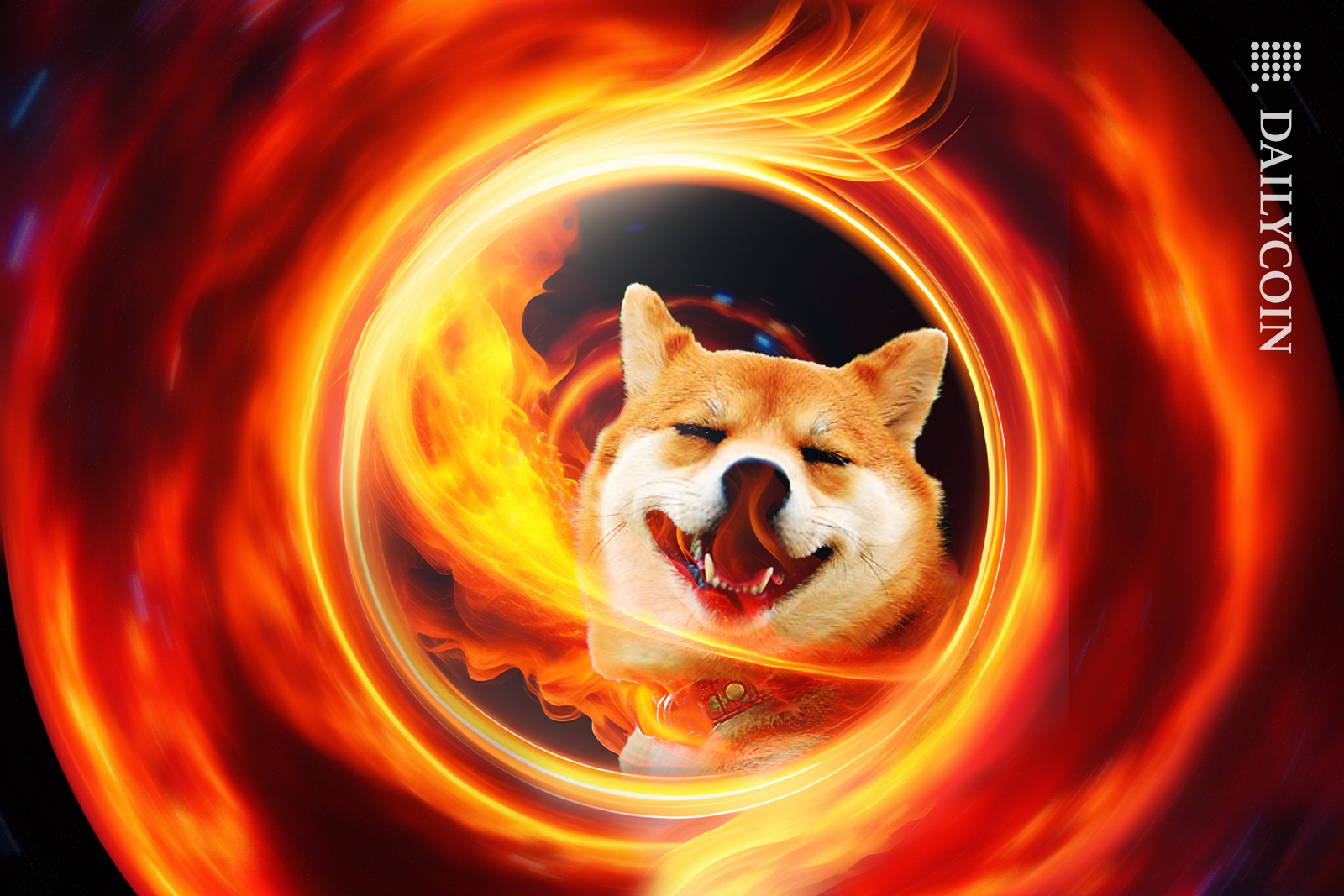 Shiba Inu in a spinning fire circle.