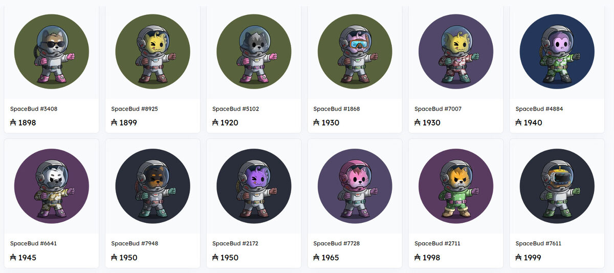 Spacebudz Cardano NFT.