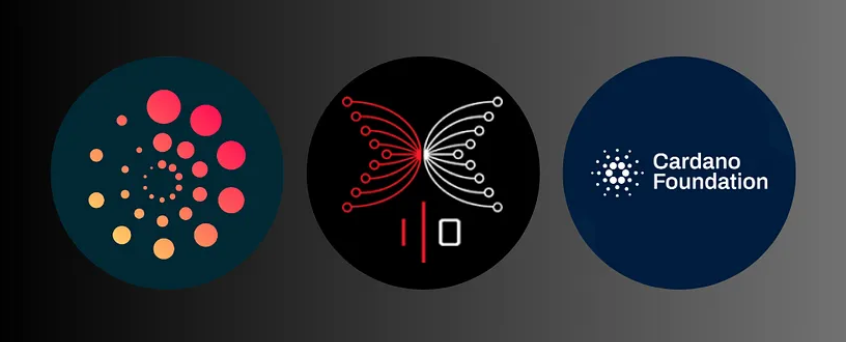 Cardano founding entities.
