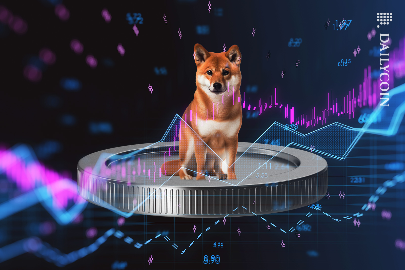 Shiba Inu looking at the crypto price chart.