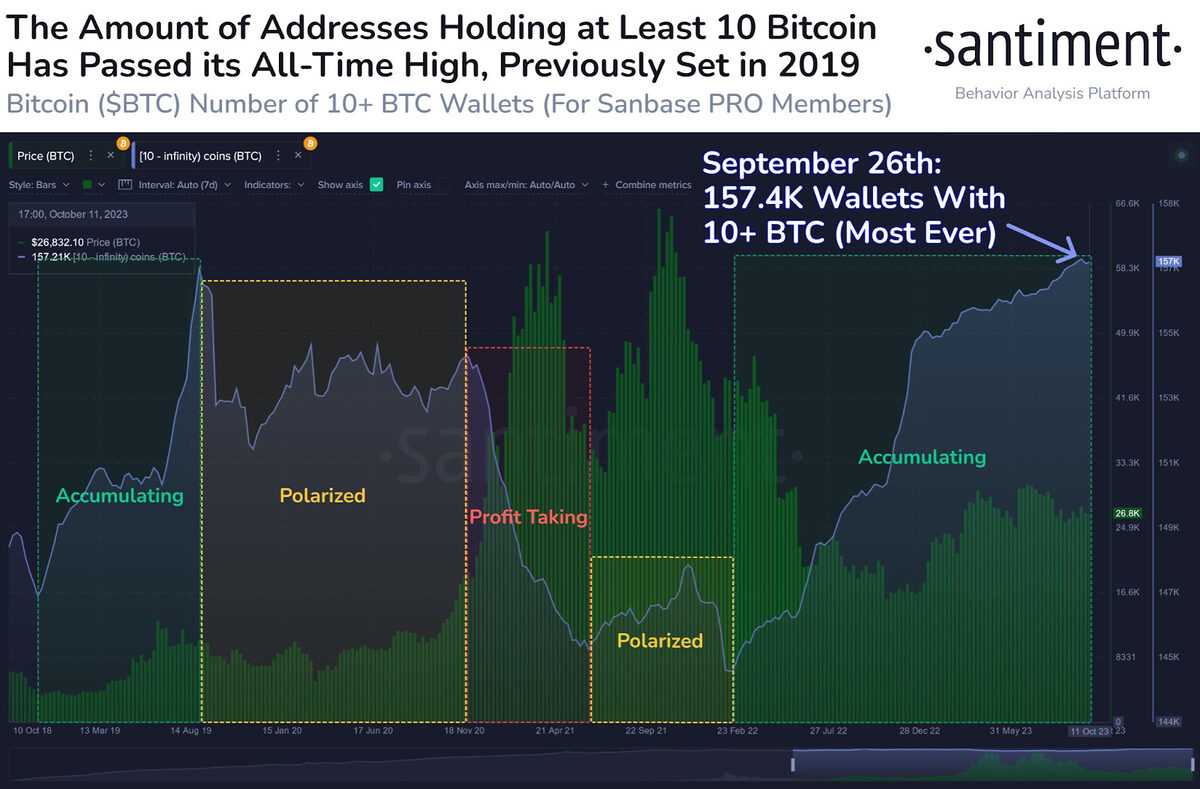 Total whale addresses on Bitcoin.