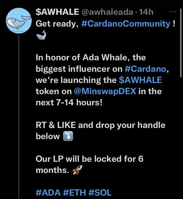 Scammers impersonating Cardano influencers.