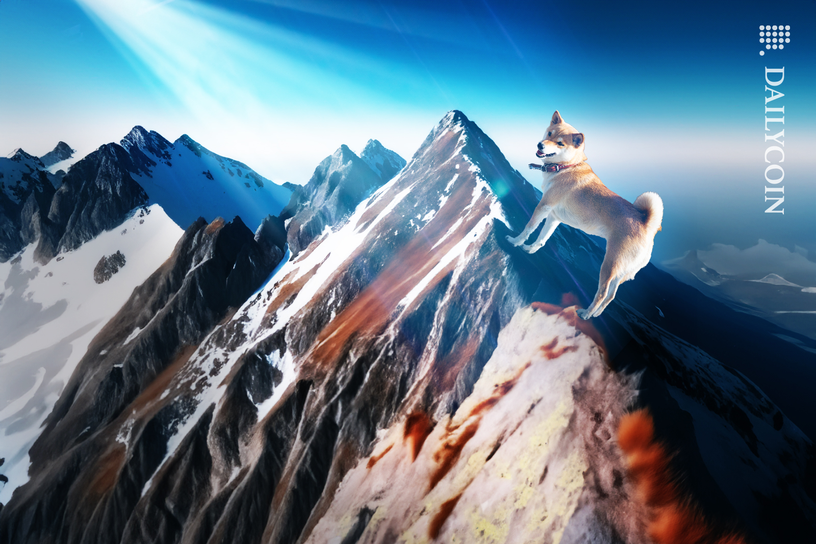 Shiba Inu trying to climb back up to the mountain peak.