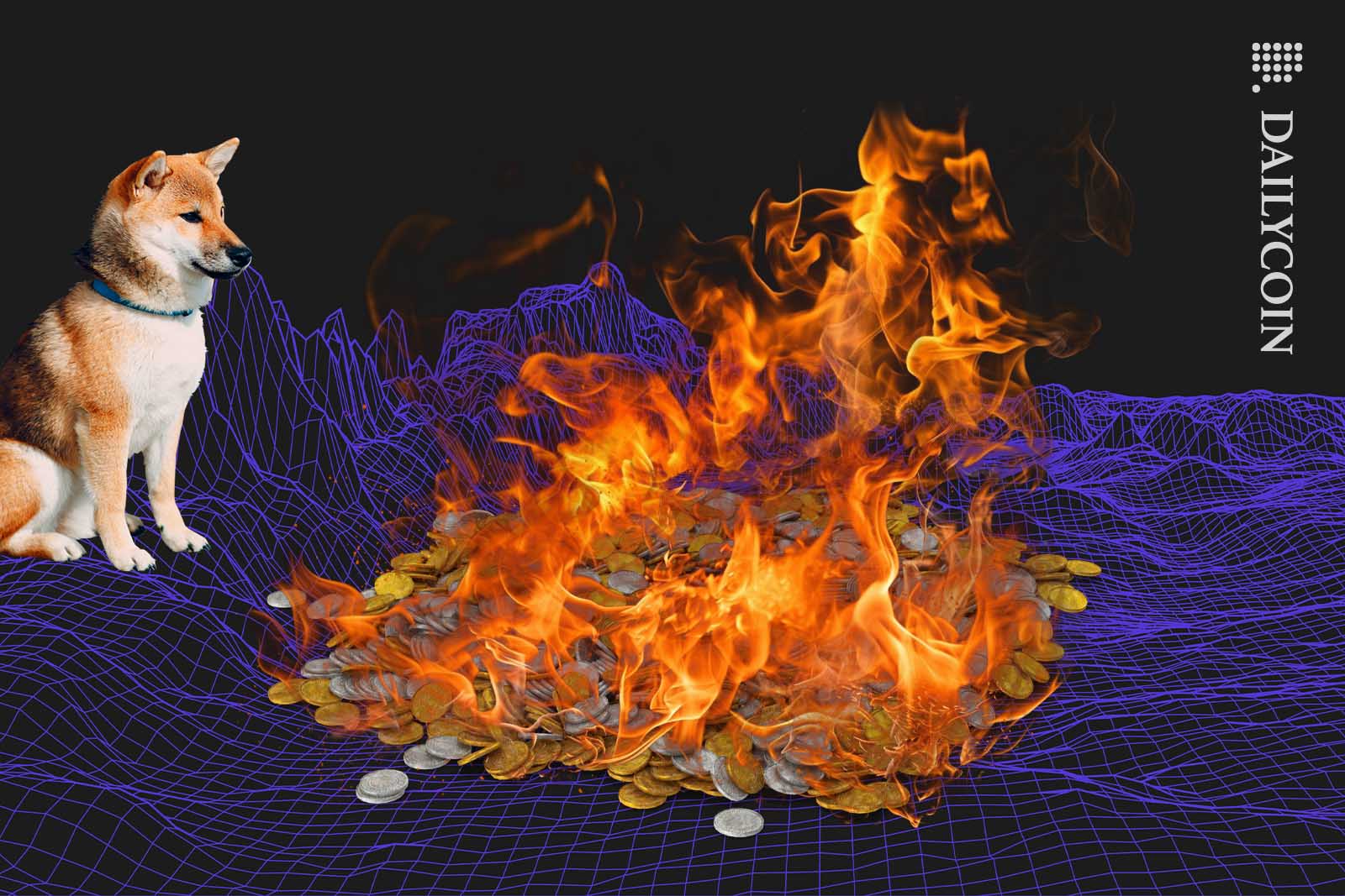 Shiba inu watching a bonfire made out of coins.