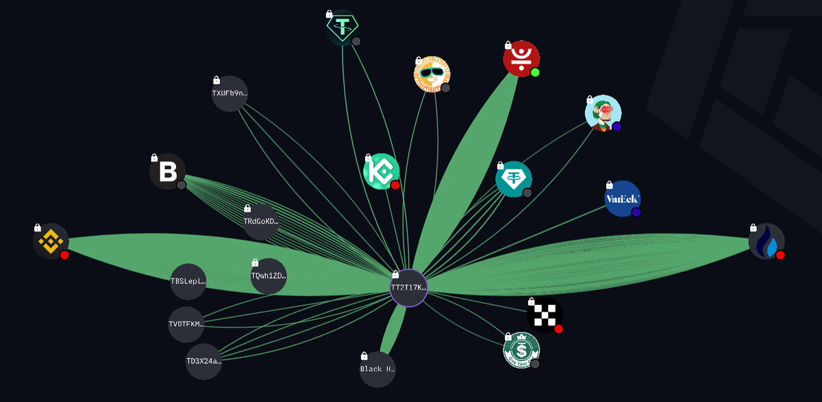 Map displaying a Black Hole stablecoin burn wallet being among the key donors of the intermediary TT2T wallet.