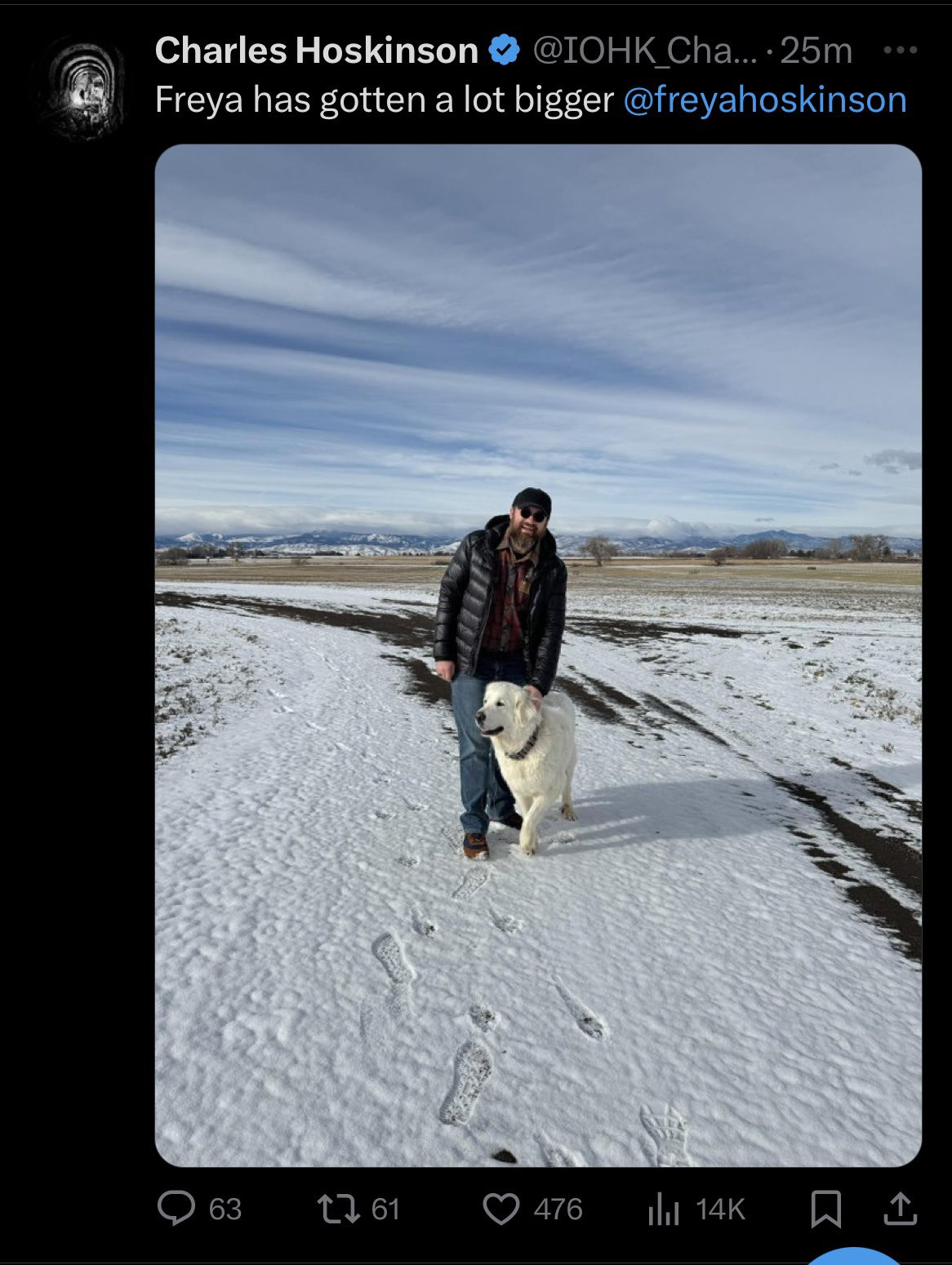 Deleted post of Cardano founder Charles Hoskinson with his dog Freya. 