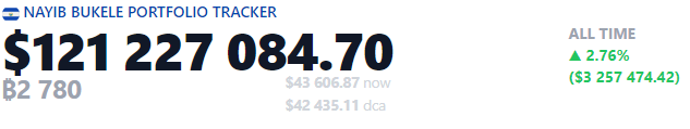 Nayib Bukele portfolio tracker.