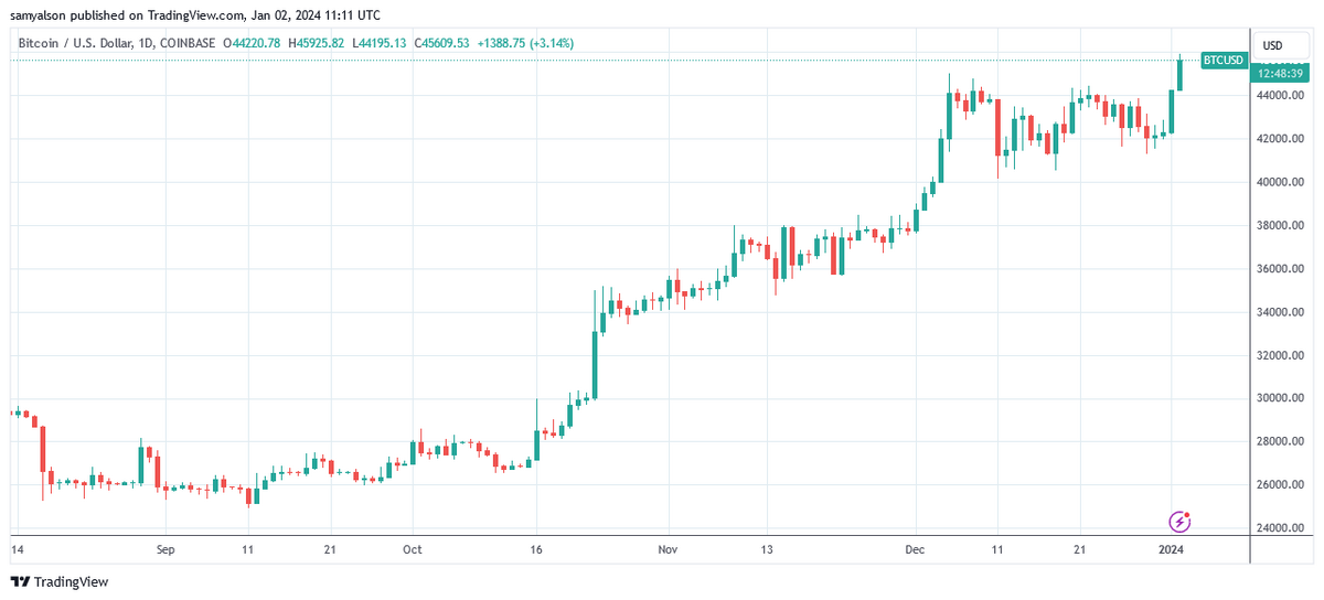 Bitcoin daily price chart by Trading View.